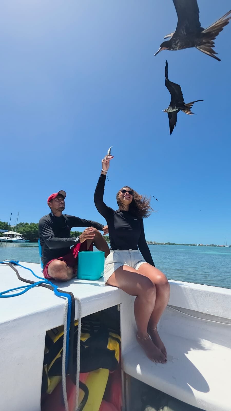 Turista alimentando aves fragata desde una lancha en Belice