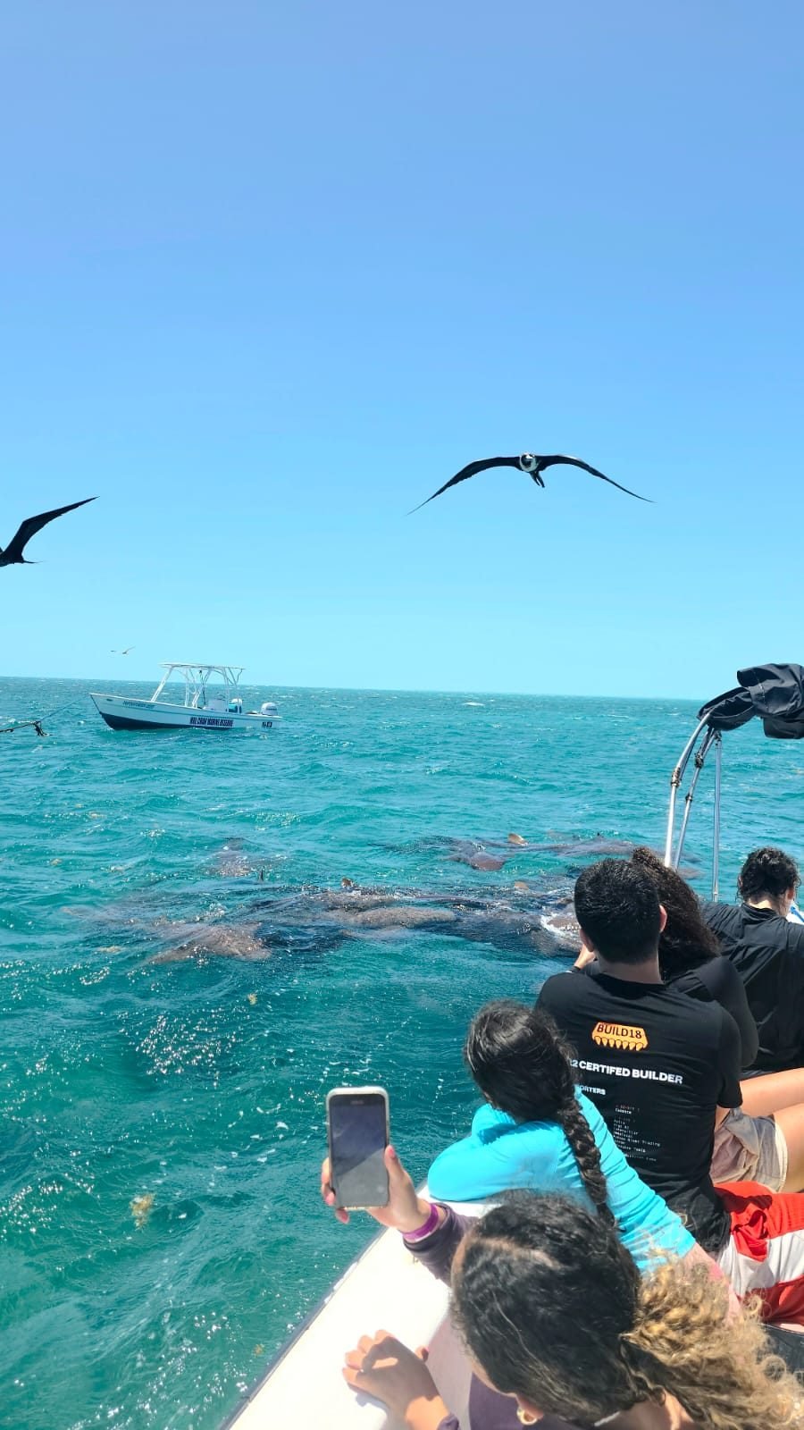 Turistas en lancha observando rayas y tiburones en Shark Ray Alley, Belice